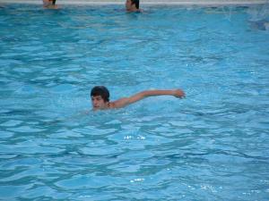 pippo008